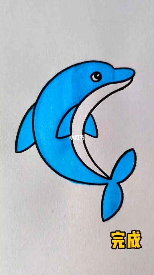 海豚画法简笔画图片