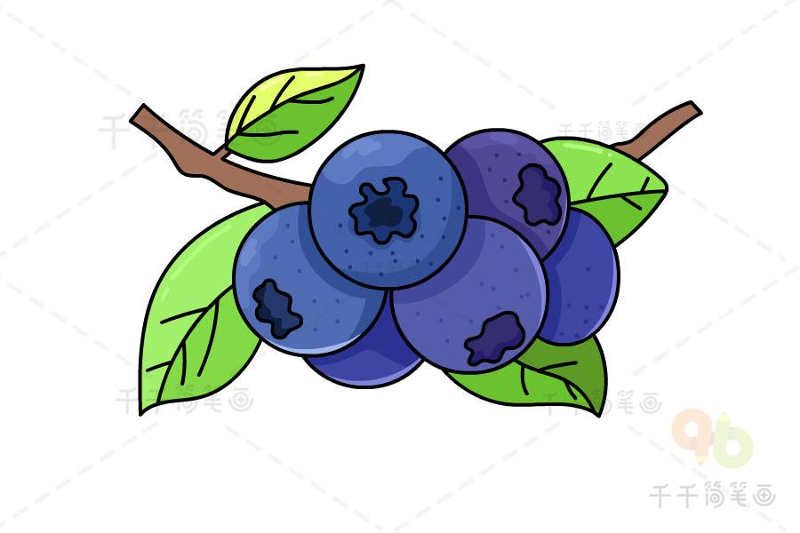 蓝莓怎么画简笔画 蓝莓怎么画简笔画可爱