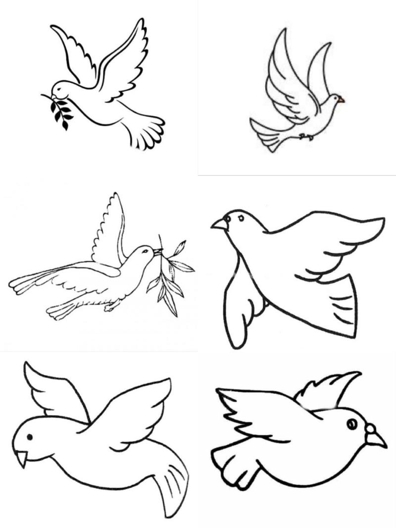 如何画鸽子简笔画