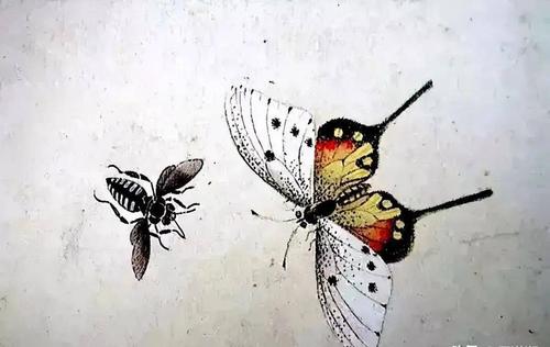 工笔画蝴蝶图片 工笔画蝴蝶图片白描的上色