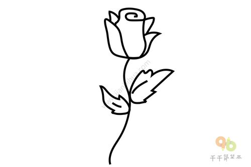 如何画玫瑰花 如何画玫瑰花步骤图解