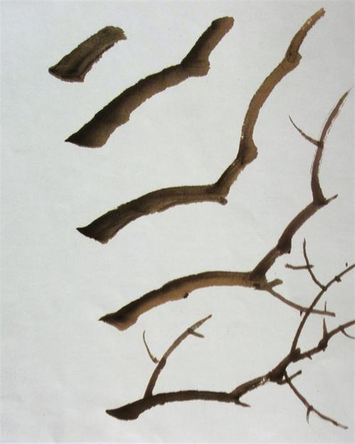 国画树枝的画法 国画树枝的画法图片大全