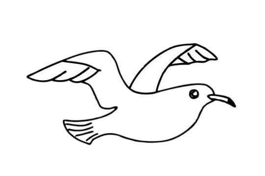 海鸥的画法简笔画图片