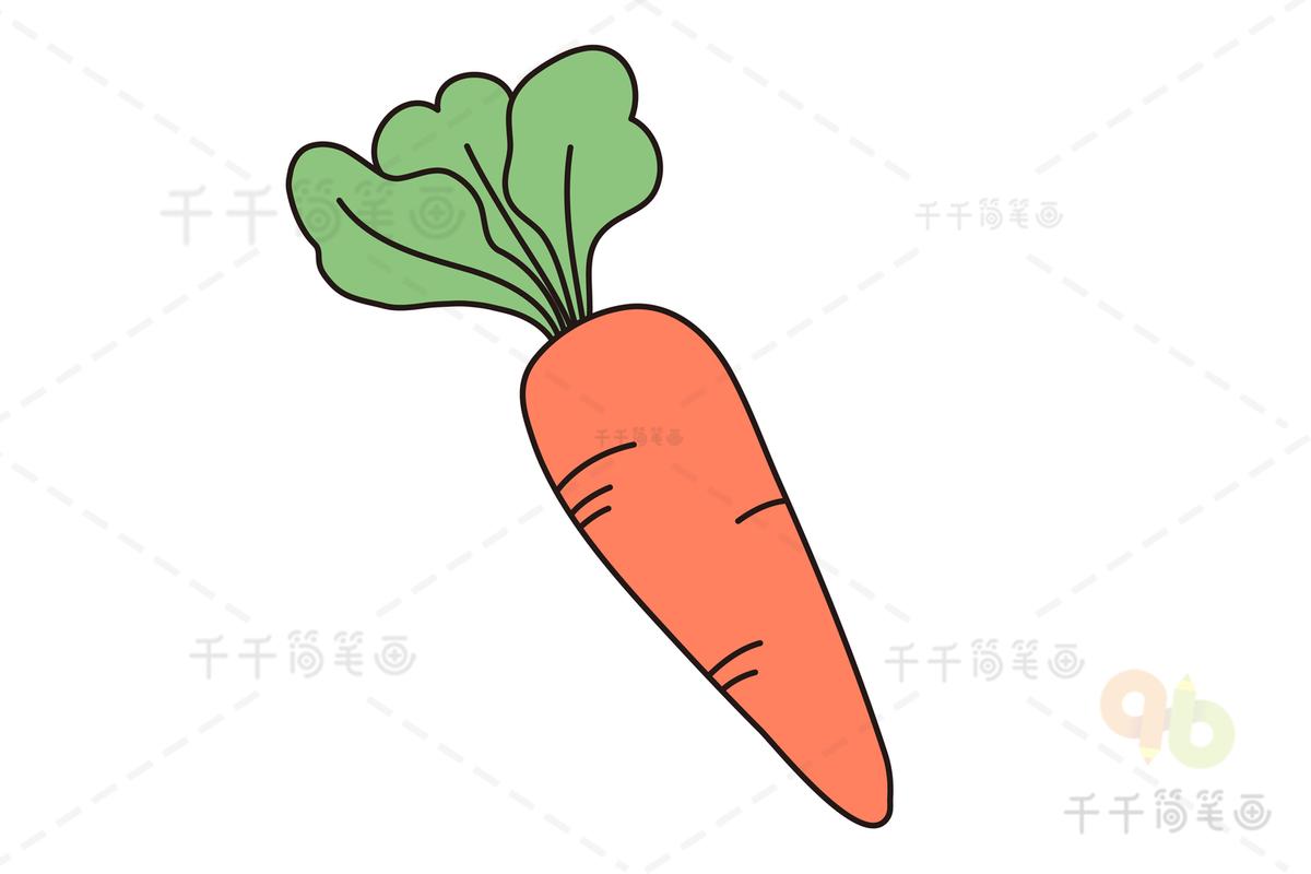 胡萝卜简笔画彩色 兔子吃胡萝卜简笔画彩色