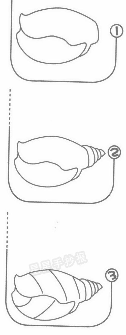 海螺贝壳简笔画 海螺贝壳简笔画步骤