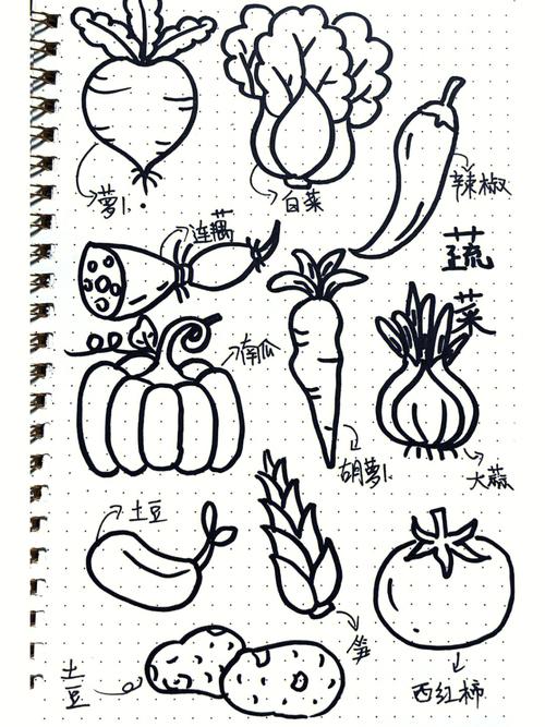 蔬菜的简笔画图片 蔬菜的简笔画图片大全可爱彩色