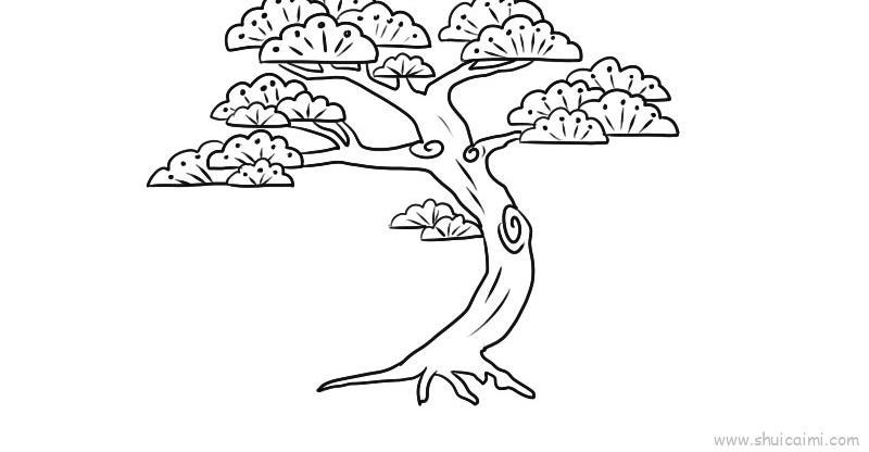 松树的简笔画画法 松树的画法图片大全