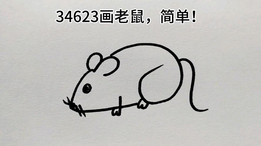 怎么画老鼠怎么画老鼠简单方法