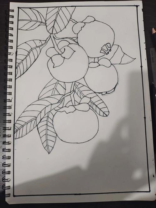 柿子图片简笔画