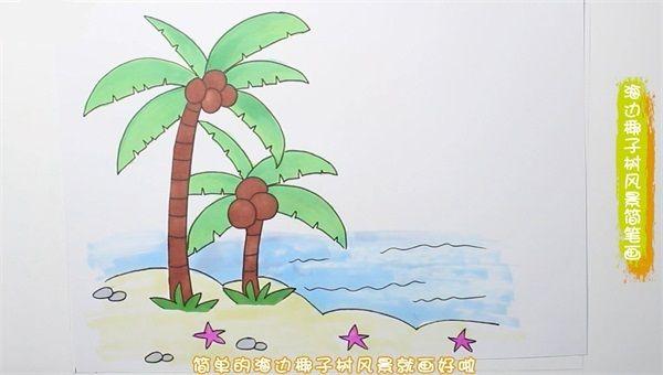 海边椰子树风景简笔画 海边椰子树风景简笔画图片
