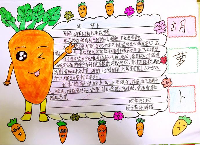 蔬菜手抄报内容怎么写