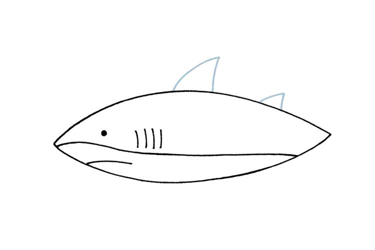 儿童简笔画大鲨鱼 儿童简笔画大鲨鱼加颜色怎么画