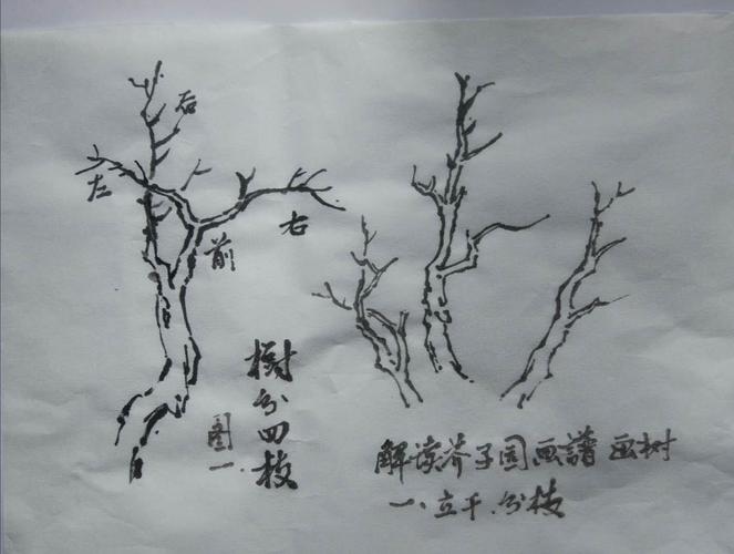 怎样画树干和树枝国画 国画树枝干的画法