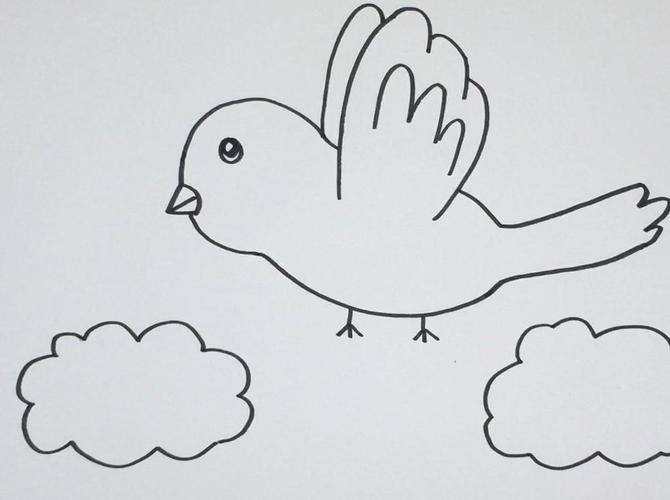鸟的笔画 鸟的笔画顺序 鸟的笔画顺序怎么写