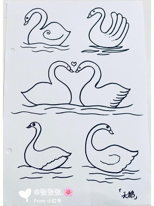 天鹅的简笔画 天鹅的简笔画可爱简单