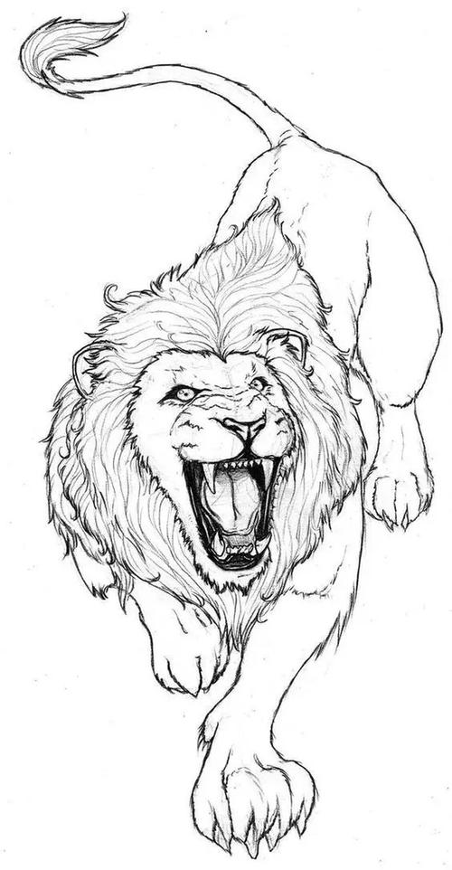 狮子的脚简笔画图片