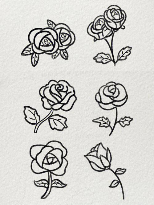 玫瑰花的画法简笔画 玫瑰花的画法简笔画图片