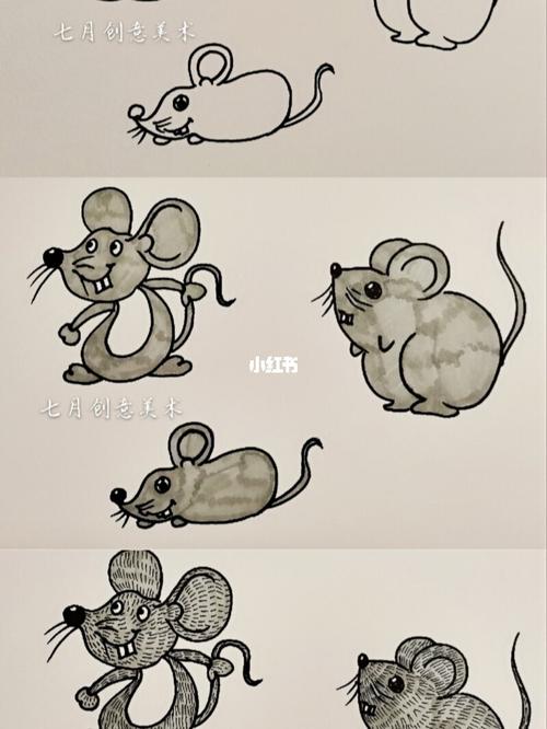 一步一步教你画老鼠图片