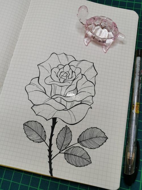 怎么画玫瑰花 怎么画玫瑰花简单又好看
