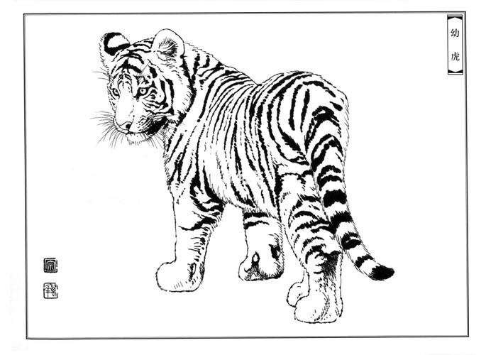 老虎如何画 如何画一只老虎简笔画