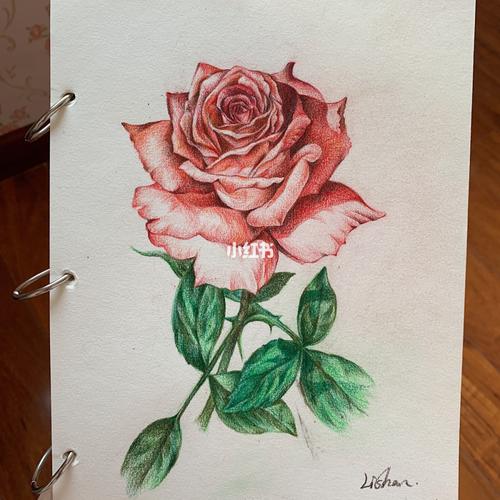 画一朵玫瑰花 画一朵玫瑰花怎么画