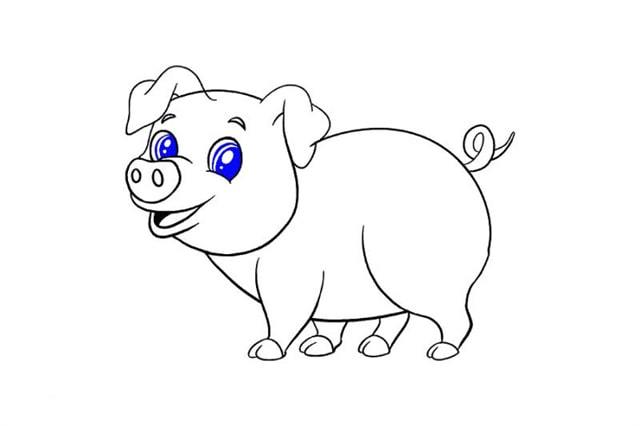 猪的图片简笔画 猪的图片简笔画图片
