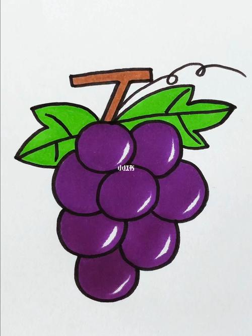 葡萄怎么画 葡萄怎么画简单又漂亮好看