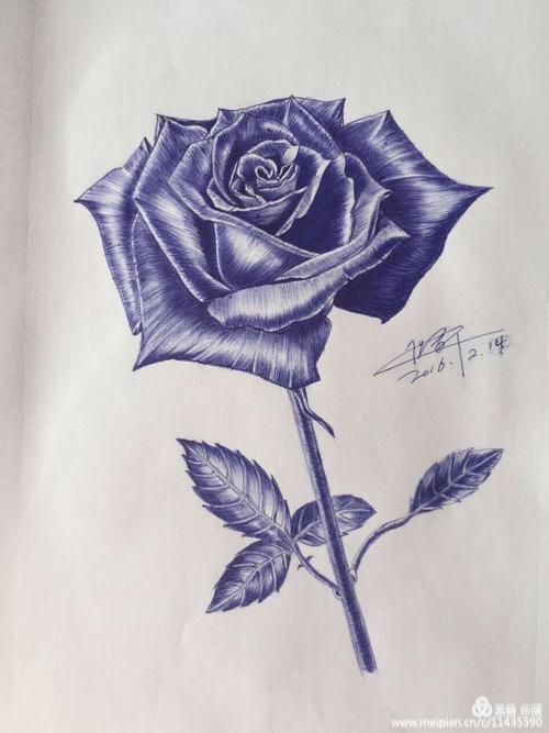 画一朵玫瑰花 画一朵玫瑰花怎么画