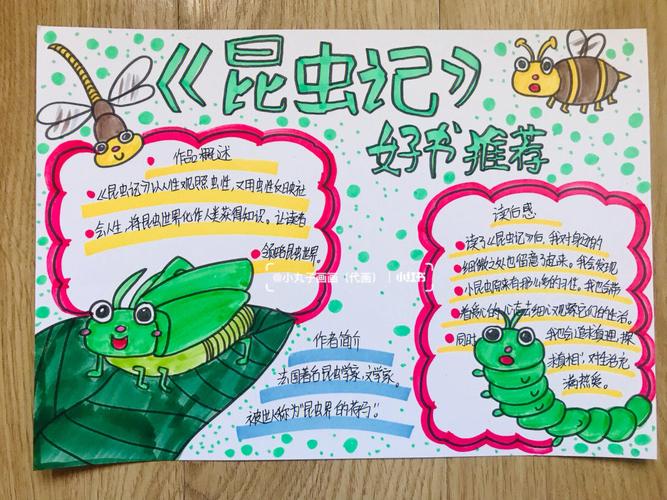 昆虫记手抄报四年级上册