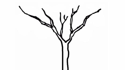 树干的简笔画 树干的简笔画图片