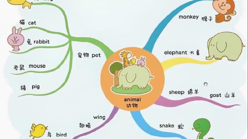 英语动物的思维导图 英语动物的思维导图四年级上