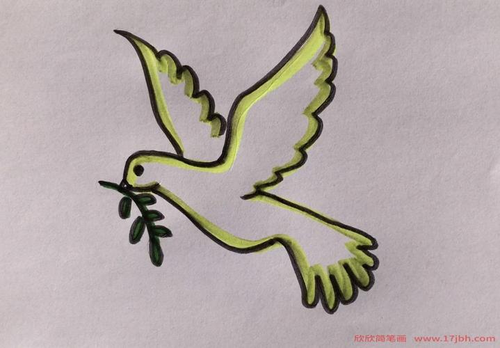 和平鸽橄榄枝简笔画