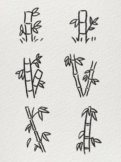 竹子怎么画简笔画