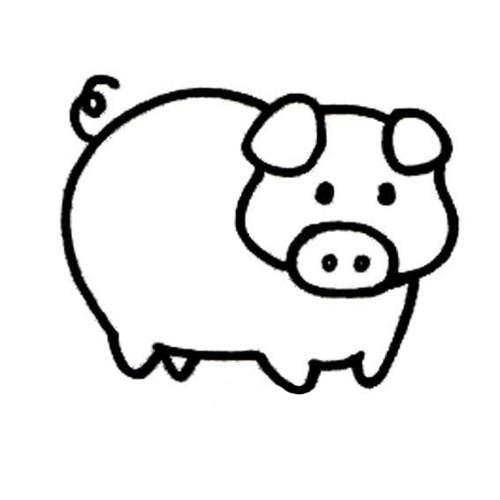 猪的简笔画简单又好看 猪的简笔画简单又好看多了一21000