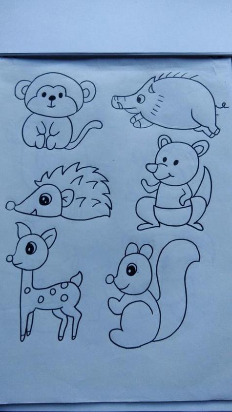 动物植物简笔画
