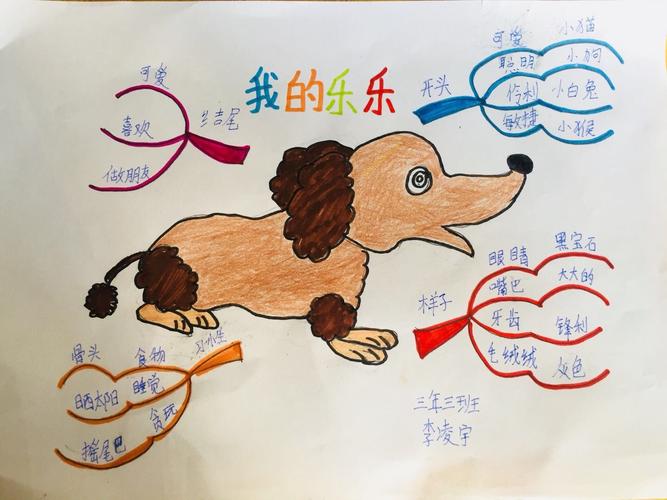 关于动物的思维导图 关于动物的思维导图英语的六年级好看