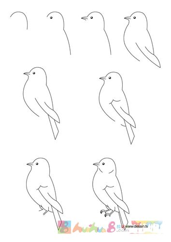 简笔画鸟 简笔画鸟的画法最简单