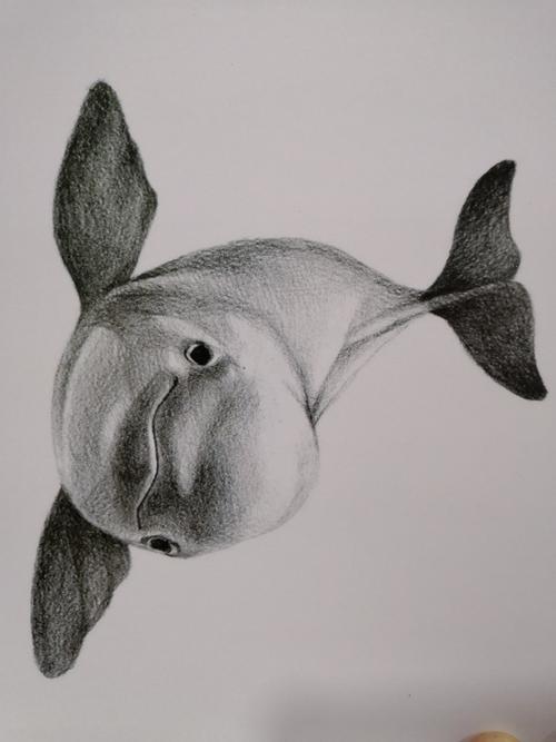 铅笔画动物 铅笔画动物素描