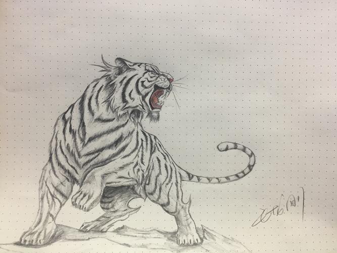 老虎的画法 简单 凶猛图片