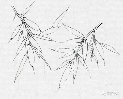 入门国画竹子的画法步骤图 初学国画竹子的画法图片