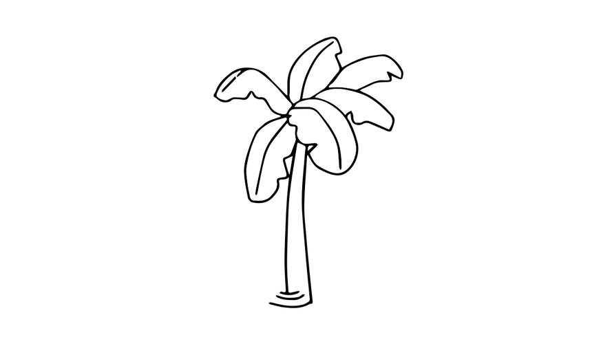 香蕉树图片简笔画 香蕉树图片卡通画