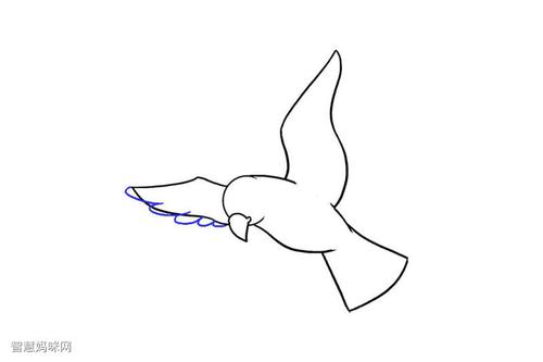 飞翔的小鸟简笔画 