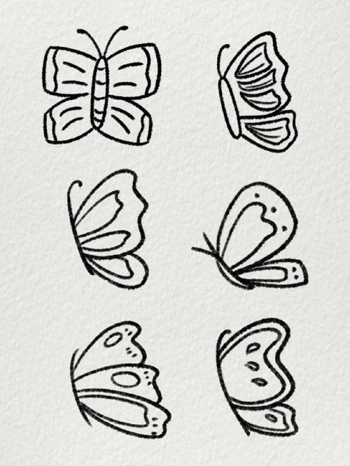 100种蝴蝶简笔画法 花怎么画好看