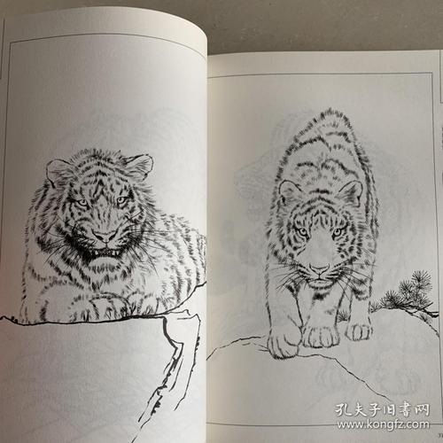 老虎怎么画图片 老虎怎么画帅气