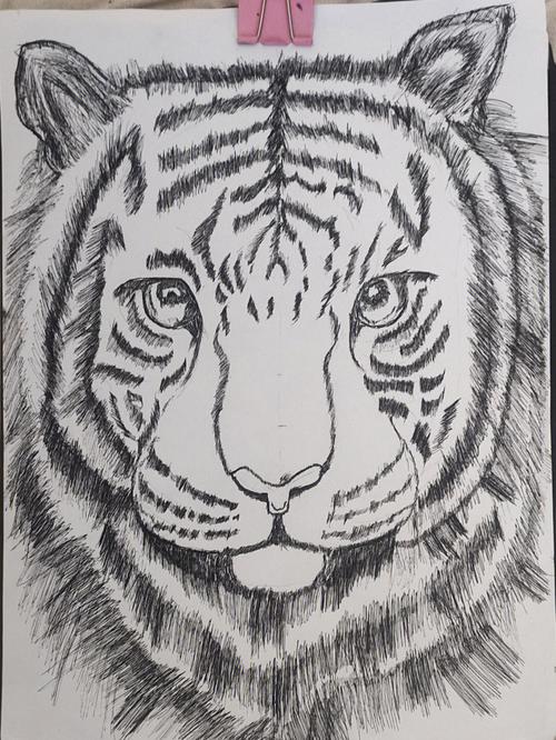 老虎的画怎么画 怎么画老虎简单画法