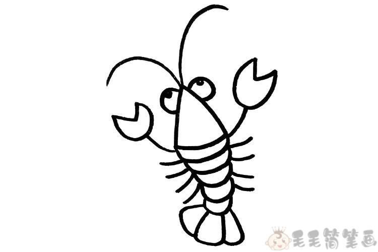 龙虾的图片简笔画
