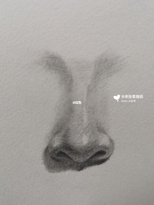 素描鼻子的画法 素描鼻子的画法步骤图