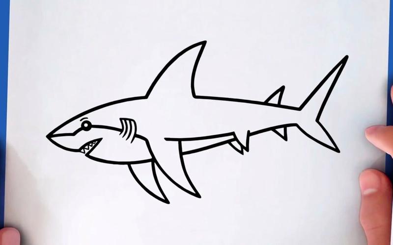 大鲨鱼简笔画 大鲨鱼简笔画彩色