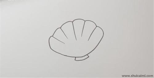 贝壳怎么画简笔画 珍珠贝壳怎么画简笔画