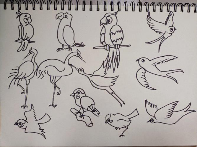 鸟怎么画简笔画 鸟怎么画简笔画图片